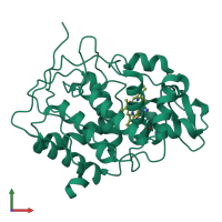 Monomeric assembly 1 of PDB entry 1ccp coloured by chemically distinct molecules, front view.