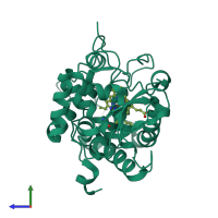 Monomeric assembly 1 of PDB entry 1ccp coloured by chemically distinct molecules, side view.