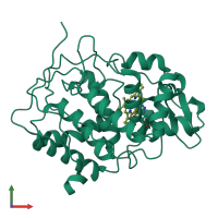 PDB entry 1ccp coloured by chain, front view.