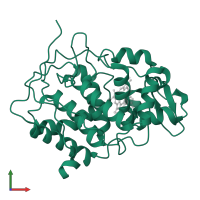 Cytochrome c peroxidase, mitochondrial in PDB entry 1ccp, assembly 1, front view.