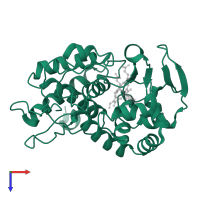 Cytochrome c peroxidase, mitochondrial in PDB entry 1ccp, assembly 1, top view.