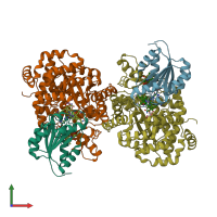 PDB entry 1ccw coloured by chain, front view.