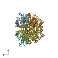 PDB entry 1ccw coloured by chain, side view.