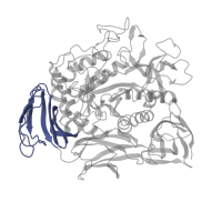 The deposited structure of PDB entry 1cdg contains 1 copy of SCOP domain 51012 (alpha-Amylases, C-terminal beta-sheet domain) in Cyclomaltodextrin glucanotransferase. Showing 1 copy in chain A.