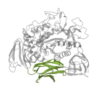 The deposited structure of PDB entry 1cdg contains 1 copy of SCOP domain 81282 (E-set domains of sugar-utilizing enzymes) in Cyclomaltodextrin glucanotransferase. Showing 1 copy in chain A.