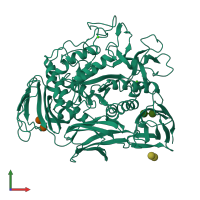 PDB entry 1cdg coloured by chain, front view.