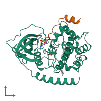 Hetero dimeric assembly 2 of PDB entry 1cdk coloured by chemically distinct molecules, front view.