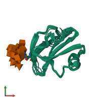 PDB entry 1cdr coloured by chain, ensemble of 10 models, front view.