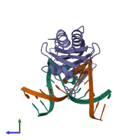 PDB entry 1cdw coloured by chain, side view.