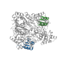 The deposited structure of PDB entry 1ce8 contains 8 copies of CATH domain 3.30.1490.20 (Dna Ligase; domain 1) in Carbamoyl-phosphate synthase large chain. Showing 2 copies in chain A.