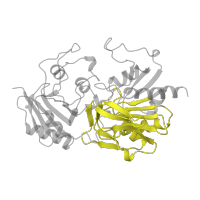 The deposited structure of PDB entry 1ce8 contains 4 copies of Pfam domain PF07722 (Peptidase C26) in Carbamoyl-phosphate synthase small chain. Showing 1 copy in chain B.