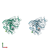 PDB entry 1cel coloured by chain, front view.