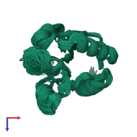 PDB entry 1cey coloured by chain, ensemble of 46 models, top view.