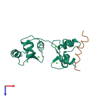 Hetero dimeric assembly 1 of PDB entry 1cff coloured by chemically distinct molecules, top view.