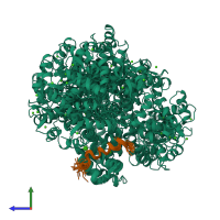PDB entry 1cff coloured by chain, ensemble of 26 models, side view.