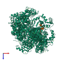 PDB entry 1cff coloured by chain, ensemble of 26 models, top view.