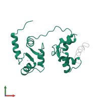 Calmodulin-1 in PDB entry 1cff, assembly 1, front view.