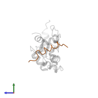 Plasma membrane calcium-transporting ATPase 4 in PDB entry 1cff, assembly 1, side view.