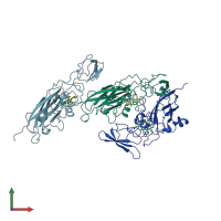 PDB entry 1cfm coloured by chain, front view.