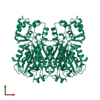 Chalcone synthase 2 in PDB entry 1cgk, assembly 1, front view.