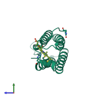 PDB entry 1cgo coloured by chain, side view.