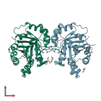 PDB entry 1ci1 coloured by chain, front view.