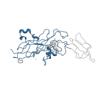 The deposited structure of PDB entry 1ci3 contains 1 copy of CATH domain 2.60.40.830 (Immunoglobulin-like) in Cytochrome f. Showing 1 copy in chain A [auth M].