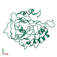 Carbonic anhydrase 2 in PDB entry 1cil, assembly 1, front view.