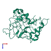 Carbonic anhydrase 2 in PDB entry 1cil, assembly 1, top view.