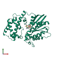 PDB entry 1cip coloured by chain, front view.