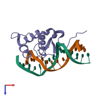 PDB entry 1cit coloured by chain, top view.