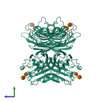 Homo tetrameric assembly 1 of PDB entry 1ciw coloured by chemically distinct molecules, side view.