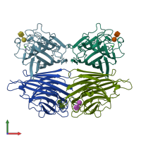 PDB entry 1ciw coloured by chain, front view.