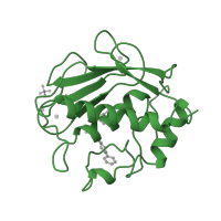 The deposited structure of PDB entry 1ciz contains 1 copy of SCOP domain 55528 (Matrix metalloproteases, catalytic domain) in Stromelysin-1. Showing 1 copy in chain A.