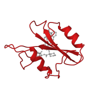 The deposited structure of PDB entry 1cj1 contains 12 copies of CATH domain 3.30.505.10 (SHC Adaptor Protein) in Growth factor receptor-bound protein 2. Showing 1 copy in chain A.