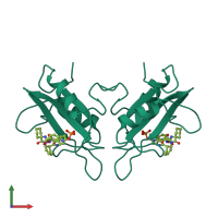 Homo dimeric assembly 6 of PDB entry 1cj1 coloured by chemically distinct molecules, front view.