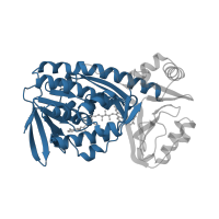 The deposited structure of PDB entry 1cj4 contains 1 copy of CATH domain 3.50.50.60 (FAD/NAD(P)-binding domain) in p-hydroxybenzoate hydroxylase. Showing 1 copy in chain A.