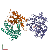 PDB entry 1cjk coloured by chain, front view.