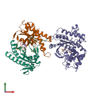 PDB entry 1cju coloured by chain, front view.