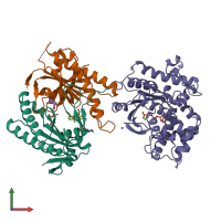 PDB entry 1cjv coloured by chain, front view.