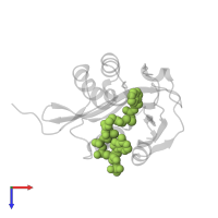 COA-S-ACETYL TRYPTAMINE in PDB entry 1cjw, assembly 1, top view.