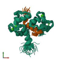 PDB entry 1ckk coloured by chain, ensemble of 30 models, front view.