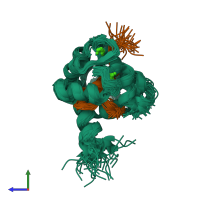 PDB entry 1ckk coloured by chain, ensemble of 30 models, side view.