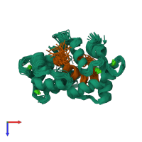 PDB entry 1ckk coloured by chain, ensemble of 30 models, top view.