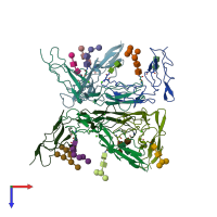 PDB entry 1ckl coloured by chain, top view.