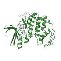 The deposited structure of PDB entry 1ckp contains 1 copy of Pfam domain PF00069 (Protein kinase domain) in Cyclin-dependent kinase 2. Showing 1 copy in chain A.