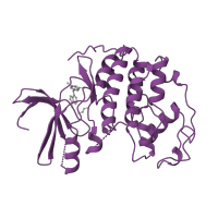 The deposited structure of PDB entry 1ckp contains 1 copy of SCOP domain 88854 (Protein kinases, catalytic subunit) in Cyclin-dependent kinase 2. Showing 1 copy in chain A.