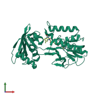 PDB entry 1cl0 coloured by chain, front view.