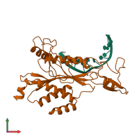 PDB entry 1cl8 coloured by chain, front view.
