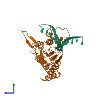 PDB entry 1cl8 coloured by chain, side view.